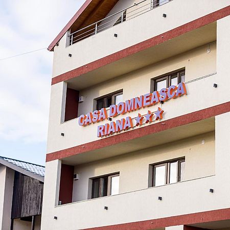 Casa Domneasca Riana Hotel Pitesti Exterior photo